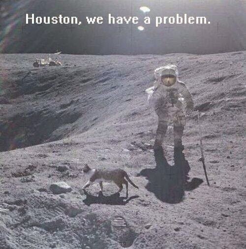 Lunar Landing Moon Conspiracies ~ Funny Joke Pictures