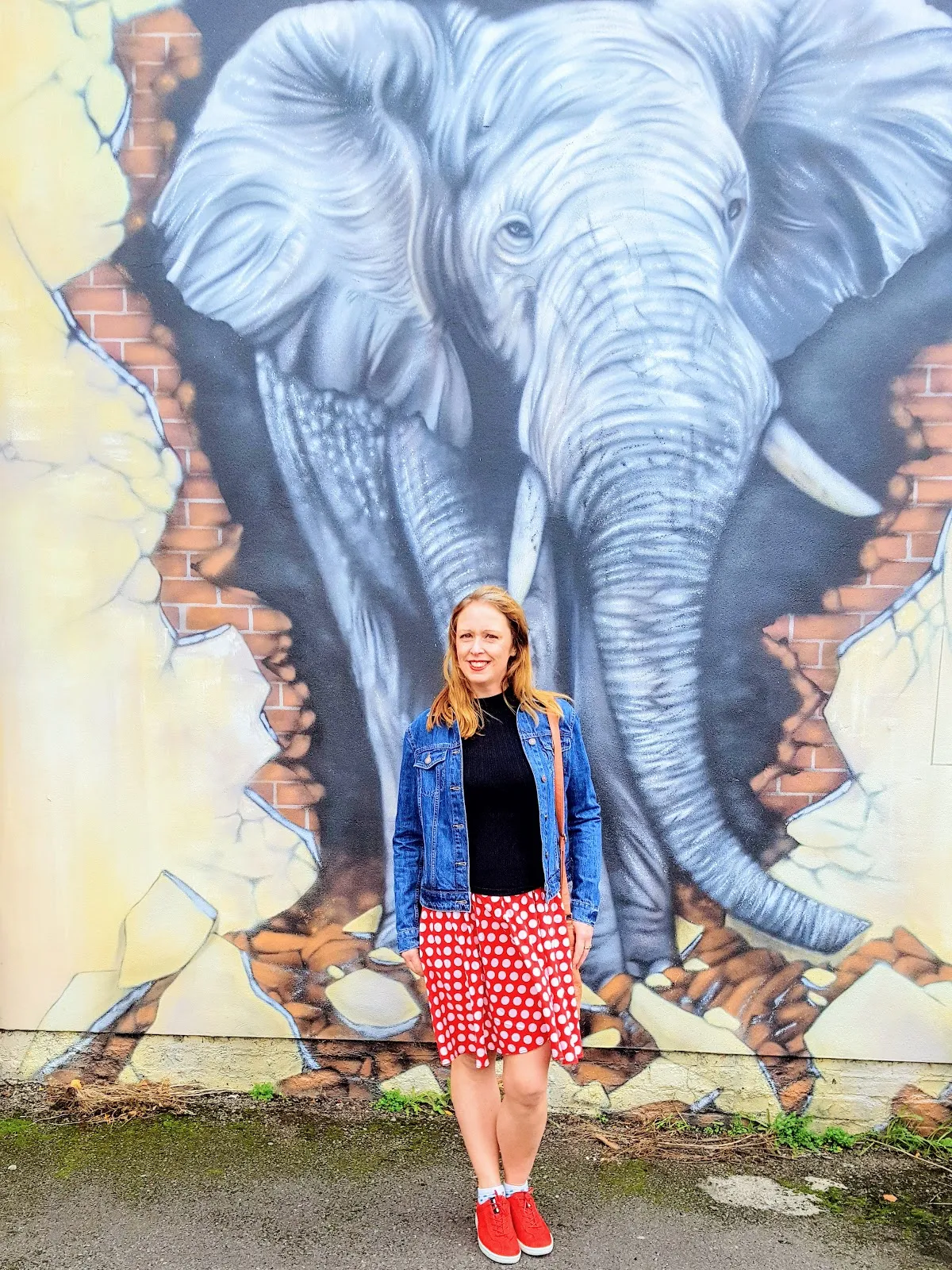 Giant Elephant Graffiti: Street Art In Loughborough