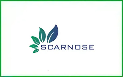 Scarnose International