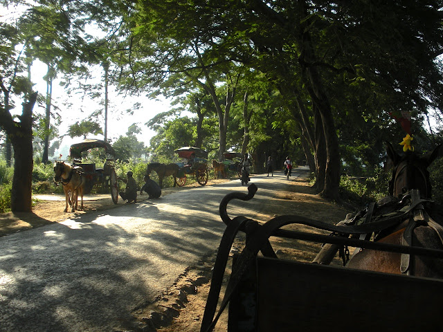 inwa horse cart