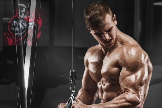 how to speed up the rate of building muscle