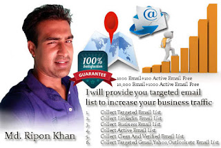 I will highly targeted active email list and email addresses
