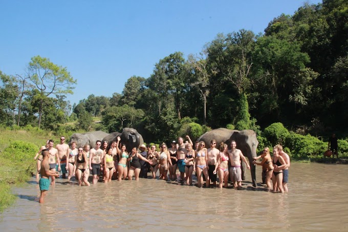 Elephant Jungle Sanctuary, Chiang Mai