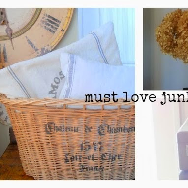 Must Love Junk Blog Feature