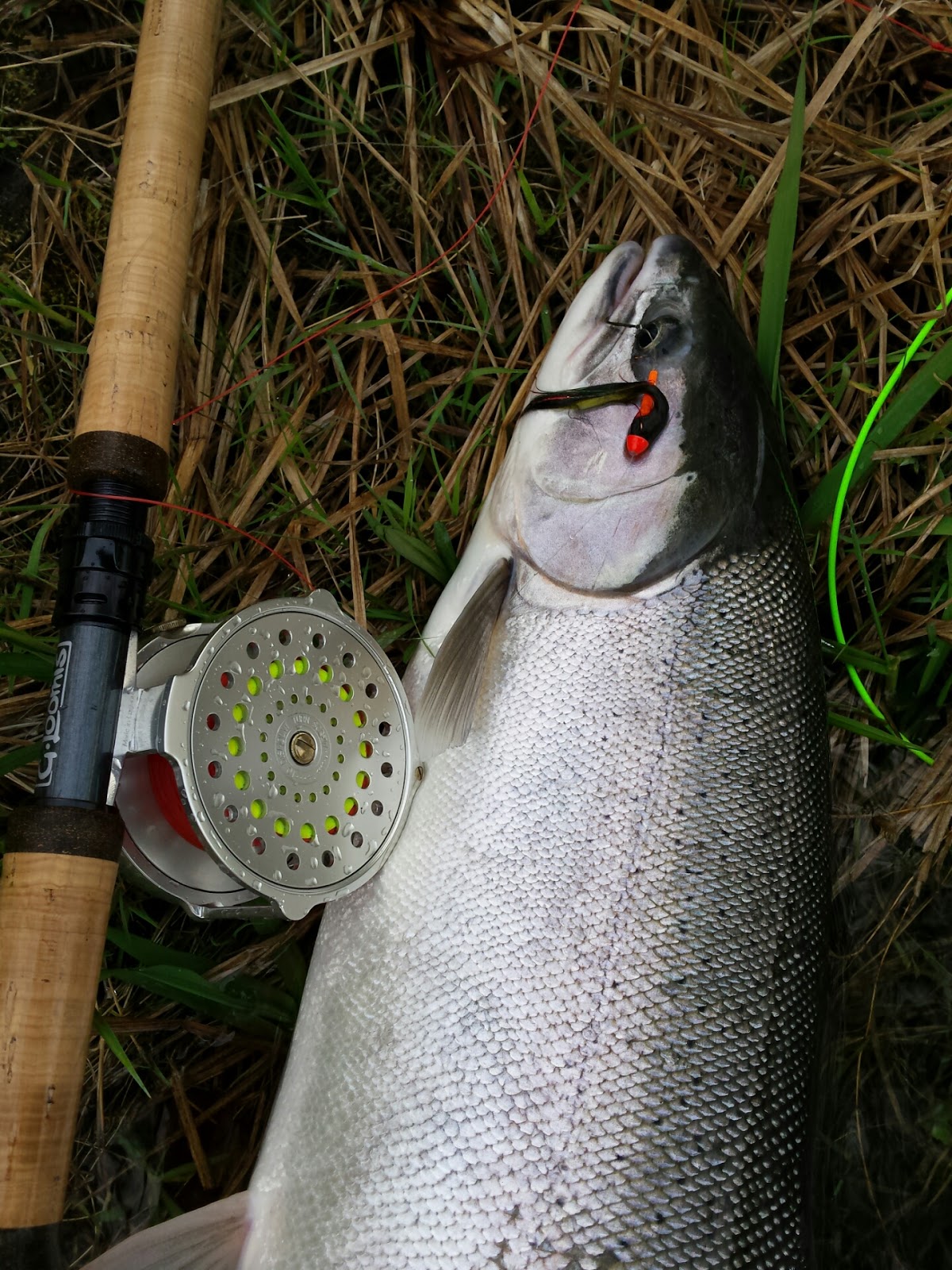 Gorge Fly Shop Blog: What are we fishing? Winter Steelhead Gear