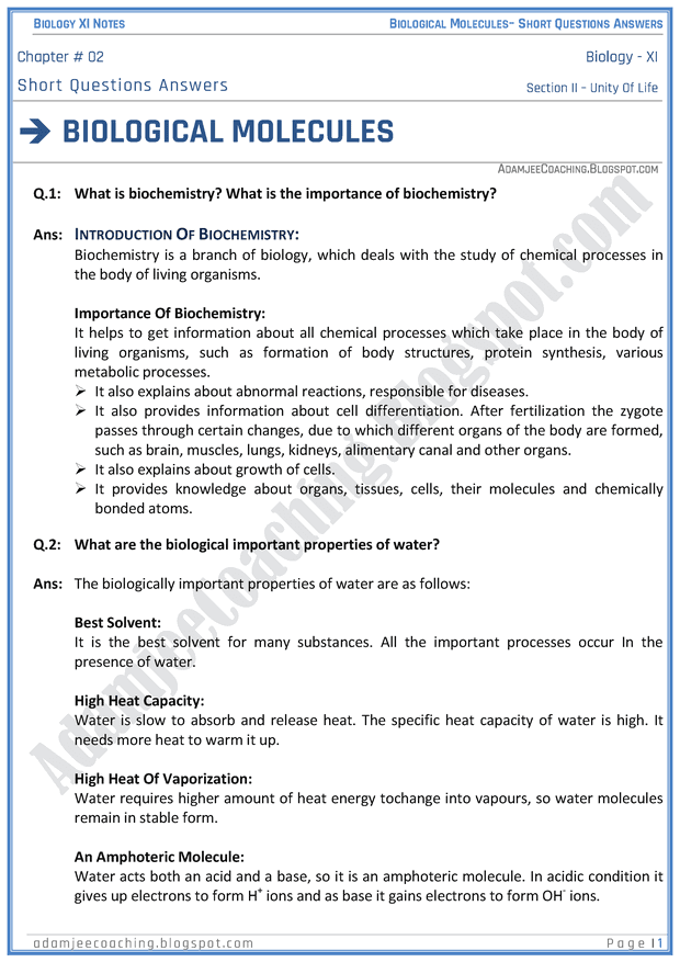 biological-molecules-short-question-answers-biology-11th