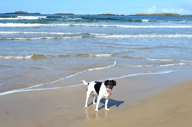 Portrush Beach 6