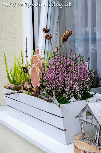 Fensterkästen im Herbst