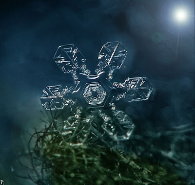 pictures of snowflake