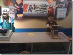 Newport Aquarium