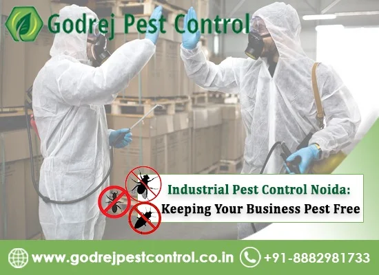 Industrial Pest Control Noida