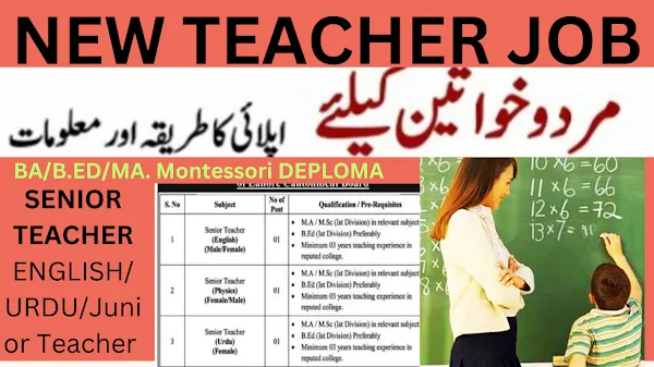 Teacher jobs Situation Vacant For Cantt Public Education Institutions Of Lahore Cantonment Board 2023 | www.sundyjobspaper.com