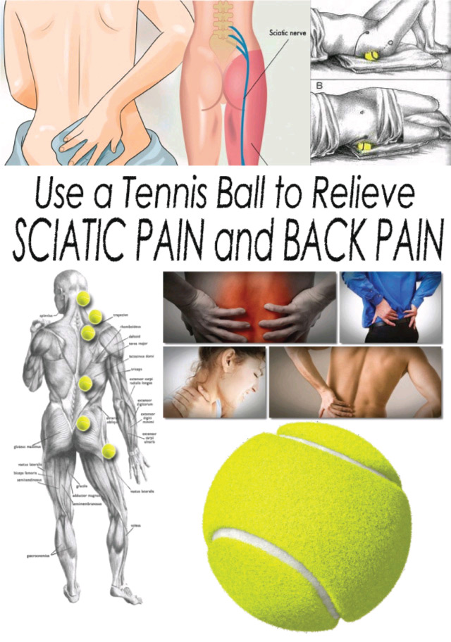 Use a Tennis Ball to Relieve Sciatic Pain and Back Pain! Here is How!