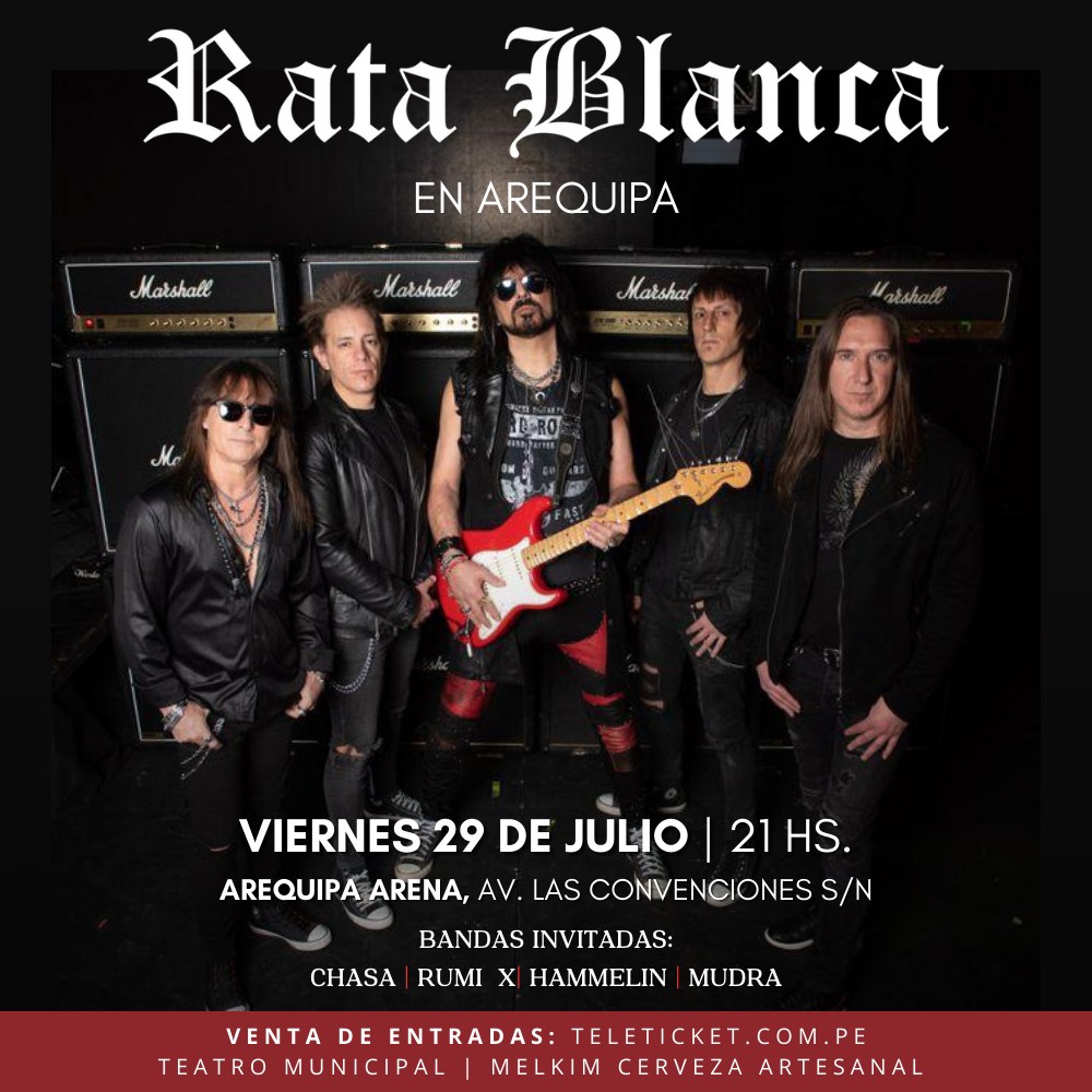 Rata blanca en Arequipa 2022