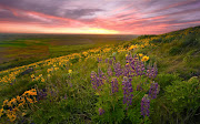 Imágenes de Bellos Paisajes de Amaneceres (hermosos amaneceres )