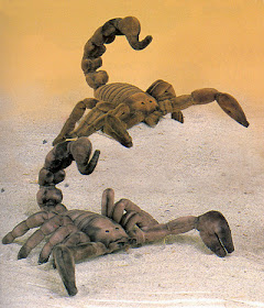 Plush Gray Scorpion Toy