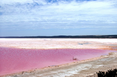 Mistery Dunia 8 Danau Berwarna Pink Yang Mirip di Negeri Dongeng Kisah Terlengkap
