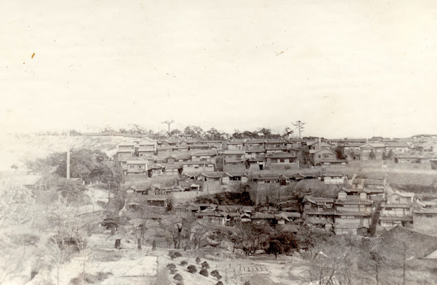 1946 photo by Arnold Nevis