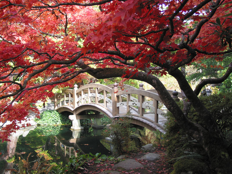 Japanese garden design