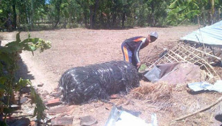 Diduga Sampah Satelit Menghujam Bumi Sumenep dan Probolinggo