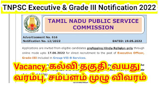 Executive officer grade III