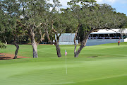 The Cloister, Sea Island Georgia (dsc )