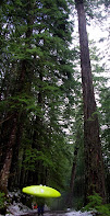 tall trees small green kayak walking in snow, WhereIsBaer.com Chris Baer Pacific Northwest