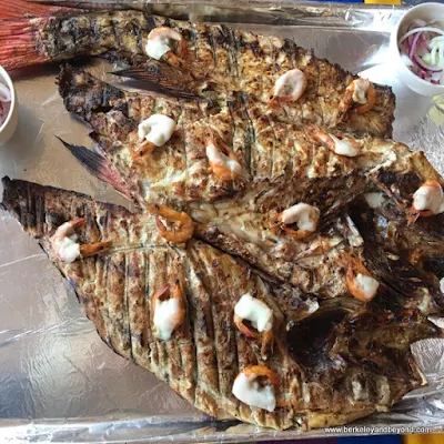 grilled fish at Garza Blanca restaurant on Las Islitas in San Blas on Riviera Nayarit in Mexico