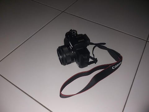 I Got a New Camera!