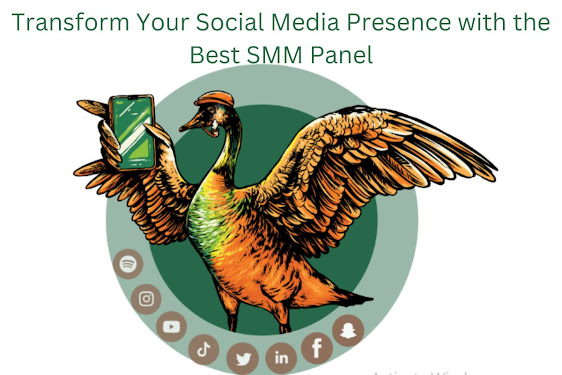 Transform Your Social Media Presence with the Best SMM Panel