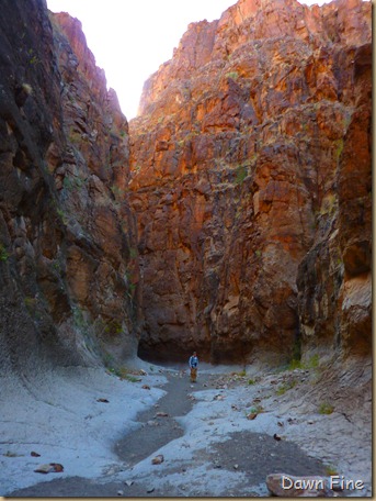 Big Bend Ranch State park_119