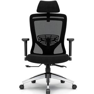 Adjustable Ergonomic Chair with Lumbar Support best new stress relief gadgets to buy online