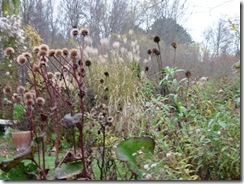 fall 024