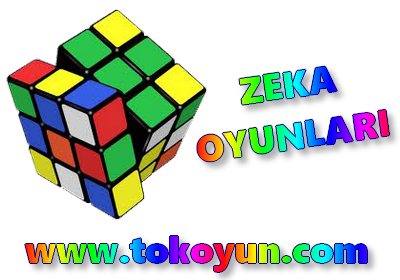 TokOyun.com Zeka Oyunları