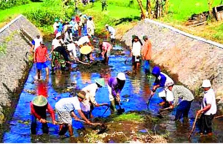 Pengertian dan Bentuk-Bentuk Kerja Sama (Cooperation 