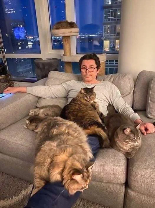 Actor Lou Diamond Phillips and his 5 Maine Coons