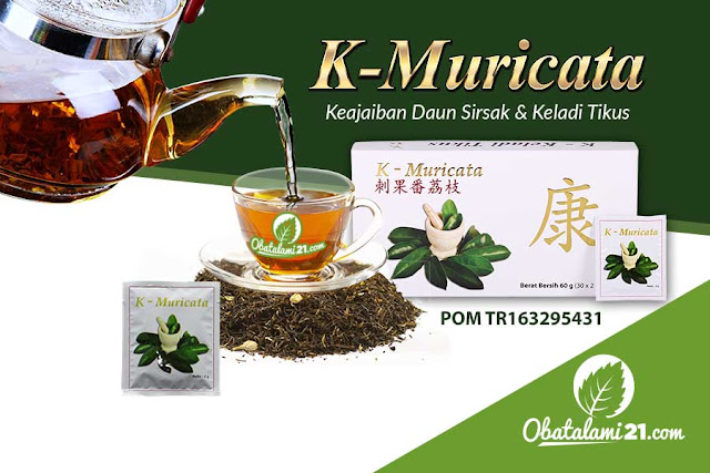 K-Muricata Obat Kanker Otak Paling Ampuh