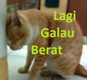 Lagi Galau Berat