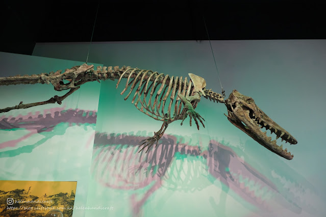 Australia Melbourne Museum 澳洲 墨爾本 博物館 自由行 親子遊 恐龍