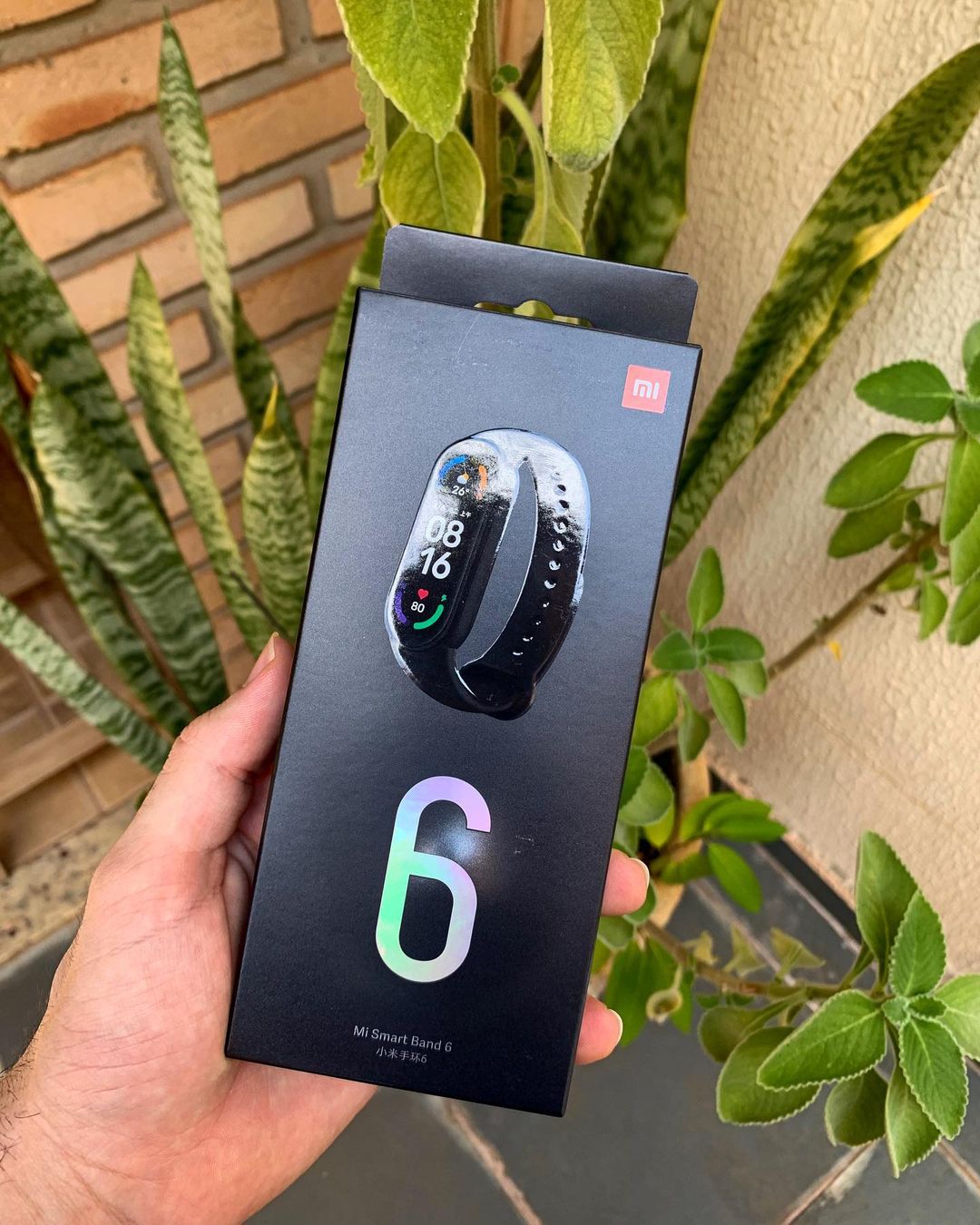 Mi Band 6