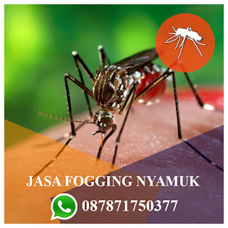 Telp : 087871750377 Jasa Fogging Nyamuk di Gunungpati Semarang