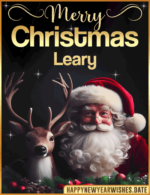 Merry Christmas gif Leary