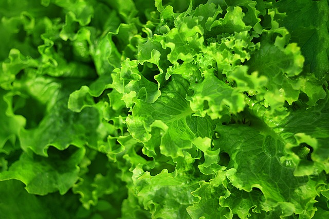 Green leafy vegetables