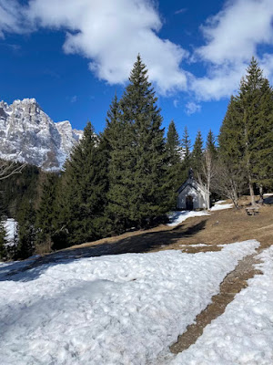 Dolomiti: passeggiata a Malga Coltrondo