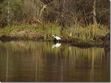 IMGA00968