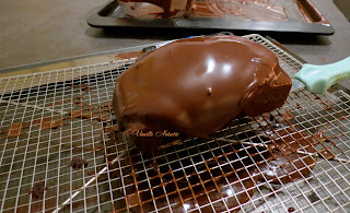 Cake au chocolat de C.Damon et Gianduja