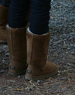 Ugg Australia Chocolate