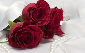 5. Red Rose Hd Wallpaper On Valentines Day 2014
