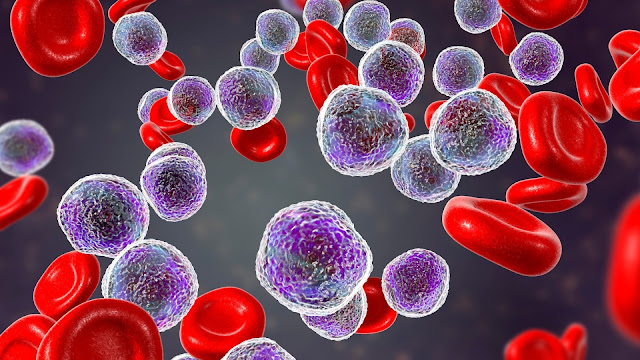 Leukemia Therapeutics Market