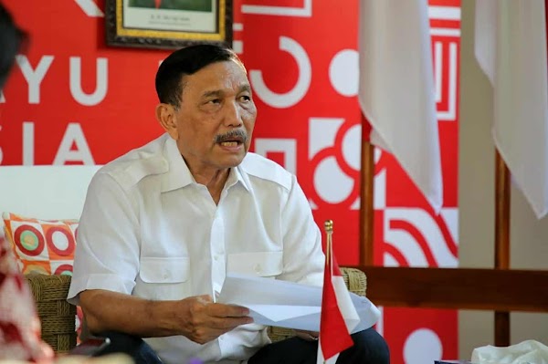 Di Depan Investor Jepang, Luhut Harap Omnibus Law Cipta Kerja Kelar Minggu Depan